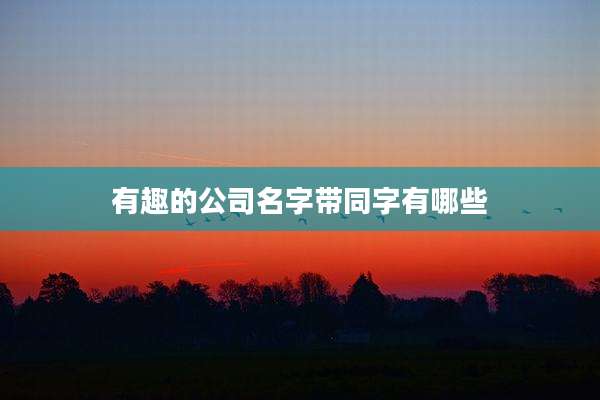 有趣的公司名字带同字有哪些