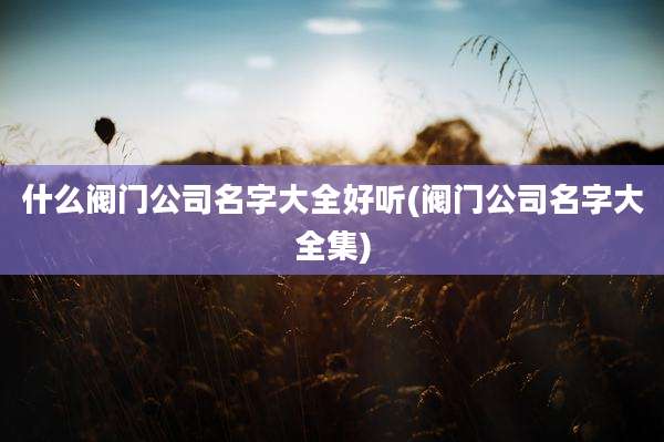 什么阀门公司名字大全好听(阀门公司名字大全集)