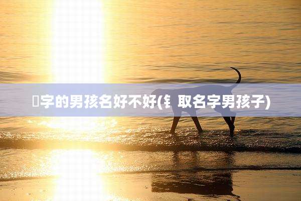 炘字的男孩名好不好(钅取名字男孩子)