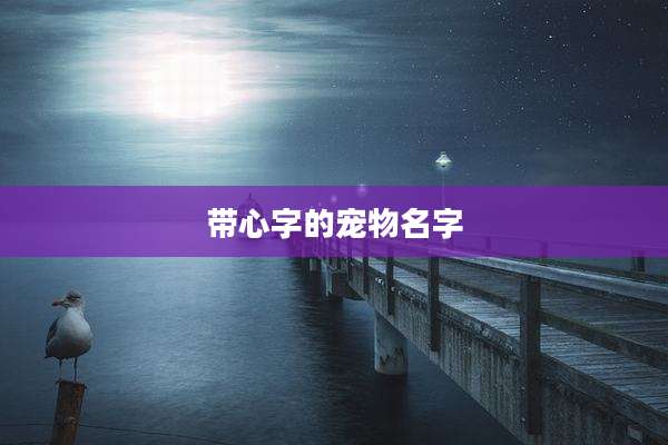 带心字的宠物名字