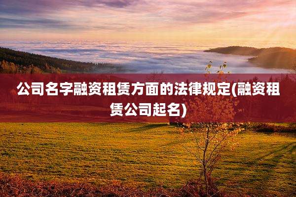 公司名字融资租赁方面的法律规定(融资租赁公司起名)