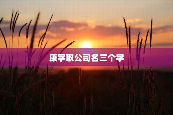 康字取公司名三个字