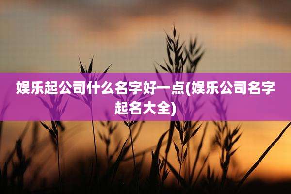 娱乐起公司什么名字好一点(娱乐公司名字起名大全)