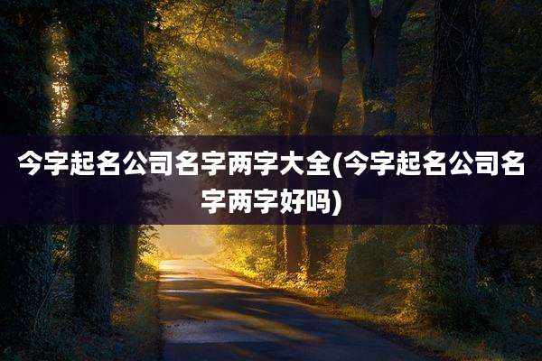 今字起名公司名字两字大全(今字起名公司名字两字好吗)