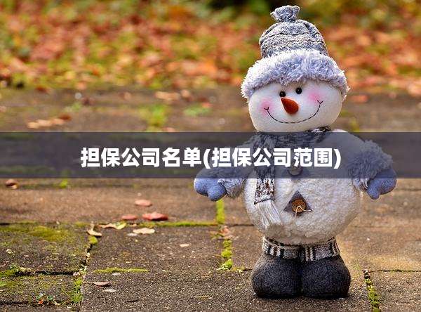 担保公司名单(担保公司范围)