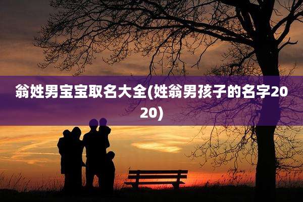 翁姓男宝宝取名大全(姓翁男孩子的名字2020)
