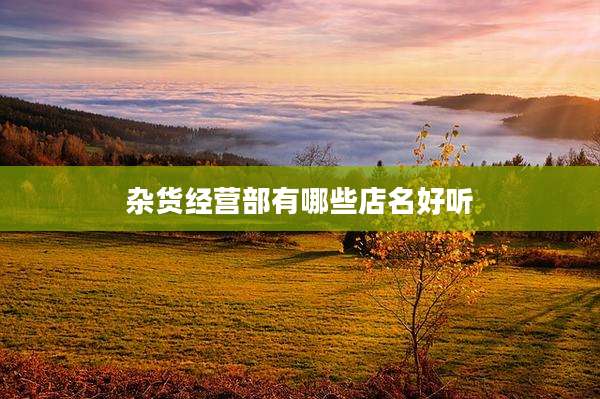 杂货经营部有哪些店名好听