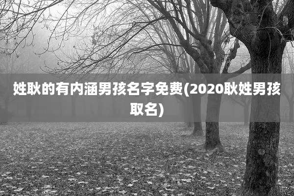 姓耿的有内涵男孩名字免费(2020耿姓男孩取名)