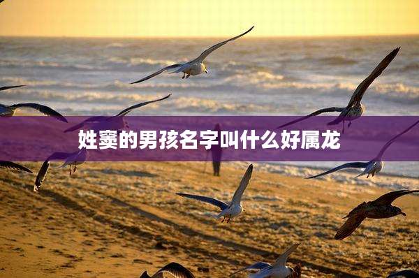 姓窦的男孩名字叫什么好属龙