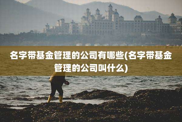 名字带基金管理的公司有哪些(名字带基金管理的公司叫什么)