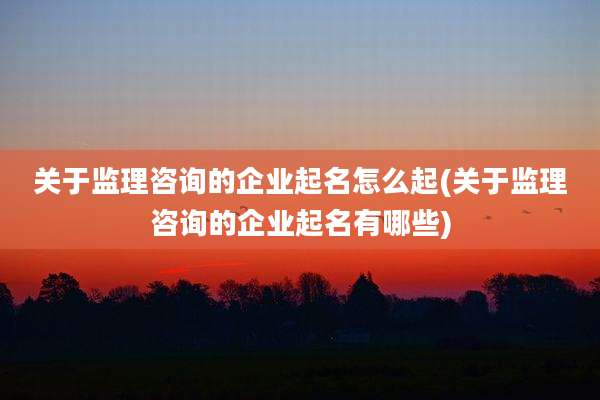 关于监理咨询的企业起名怎么起(关于监理咨询的企业起名有哪些)