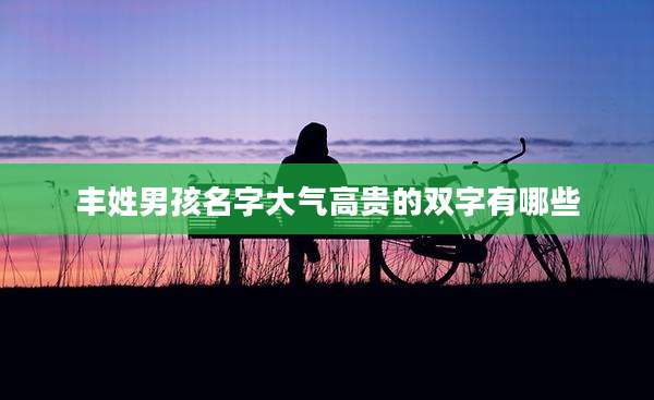 丰姓男孩名字大气高贵的双字有哪些