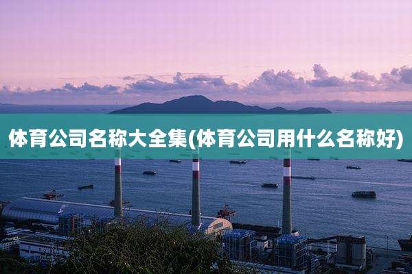 体育公司名称大全集(体育公司用什么名称好)