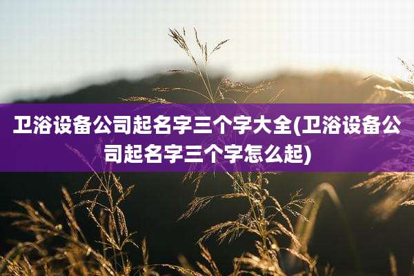 卫浴设备公司起名字三个字大全(卫浴设备公司起名字三个字怎么起)