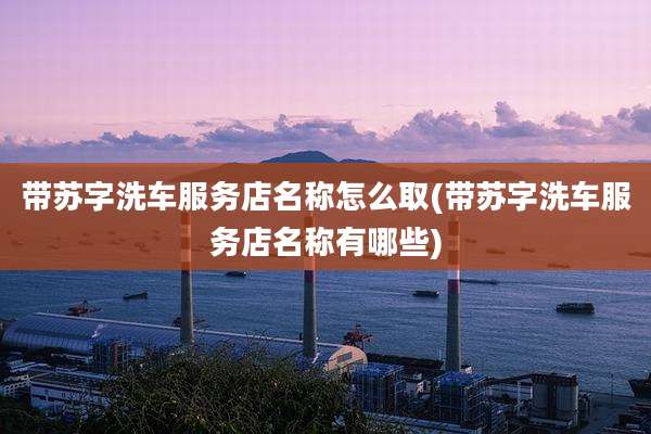 带苏字洗车服务店名称怎么取(带苏字洗车服务店名称有哪些)