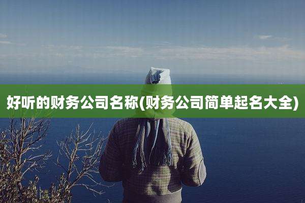 好听的财务公司名称(财务公司简单起名大全)