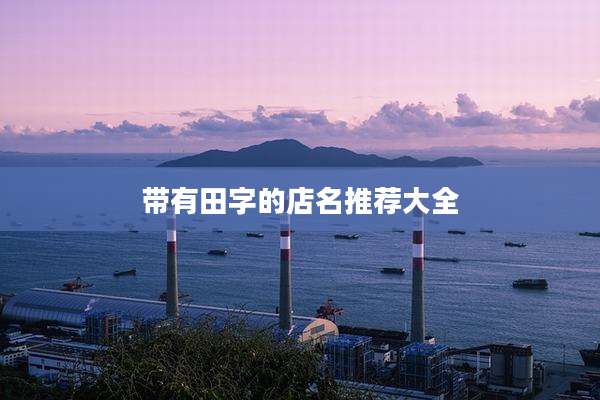 带有田字的店名推荐大全