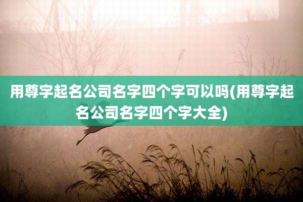 用尊字起名公司名字四个字可以吗(用尊字起名公司名字四个字大全)