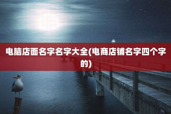 电脑店面名字名字大全(电商店铺名字四个字的)