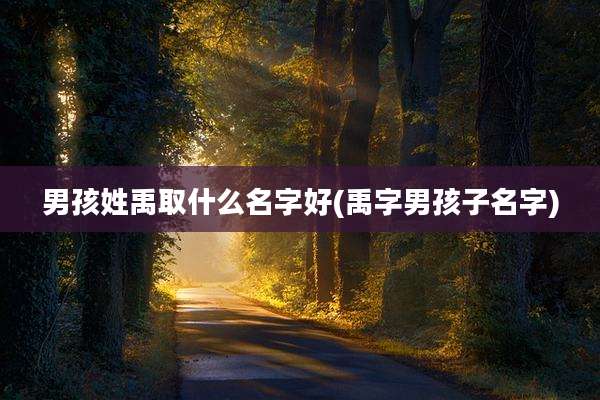 男孩姓禹取什么名字好(禹字男孩子名字)