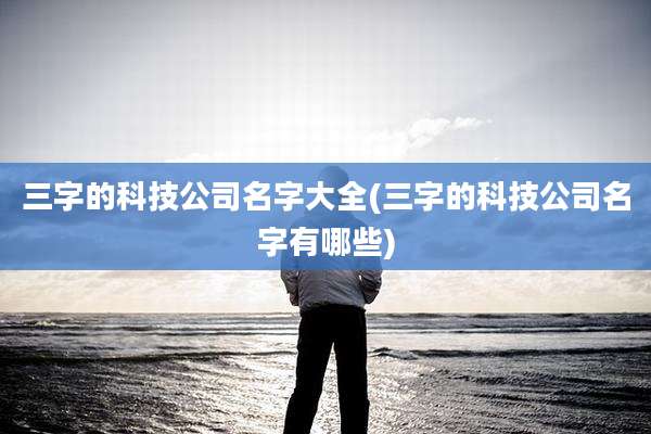 三字的科技公司名字大全(三字的科技公司名字有哪些)