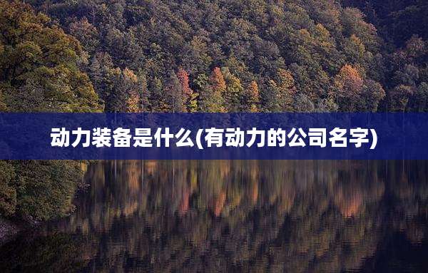 动力装备是什么(有动力的公司名字)