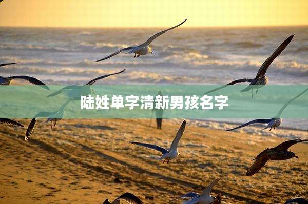 陆姓单字清新男孩名字