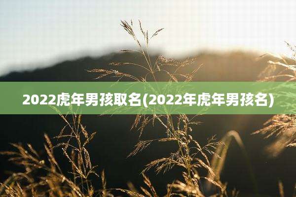2022虎年男孩取名(2022年虎年男孩名)