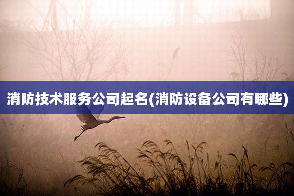 消防技术服务公司起名(消防设备公司有哪些)
