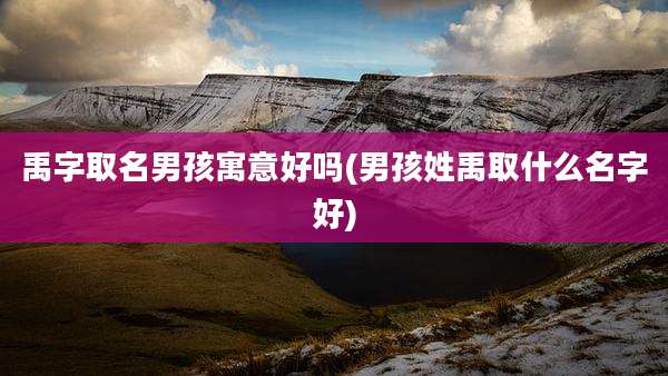 禹字取名男孩寓意好吗(男孩姓禹取什么名字好)