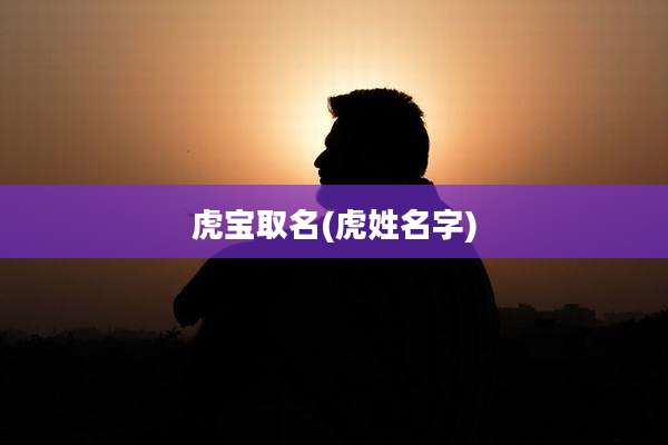 虎宝取名(虎姓名字)