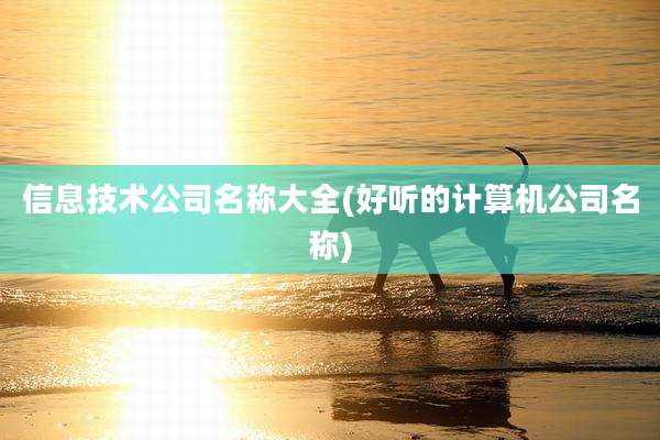 信息技术公司名称大全(好听的计算机公司名称)