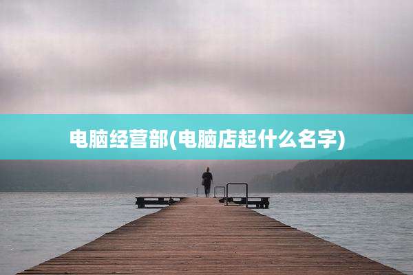 电脑经营部(电脑店起什么名字)