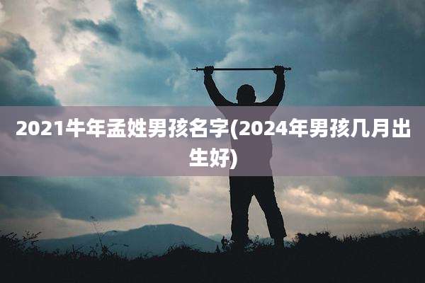 2021牛年孟姓男孩名字(2024年男孩几月出生好)