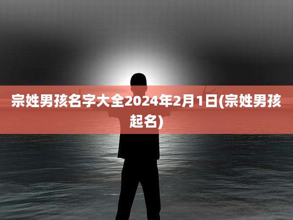 宗姓男孩名字大全2024年2月1日(宗姓男孩起名)