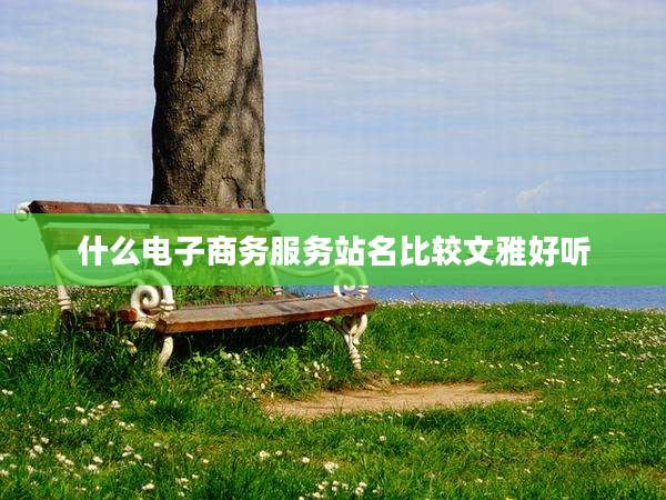 什么电子商务服务站名比较文雅好听