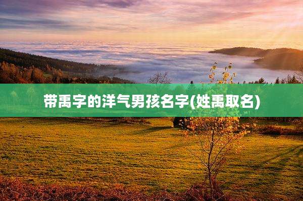 带禹字的洋气男孩名字(姓禹取名)