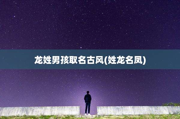 龙姓男孩取名古风(姓龙名凤)