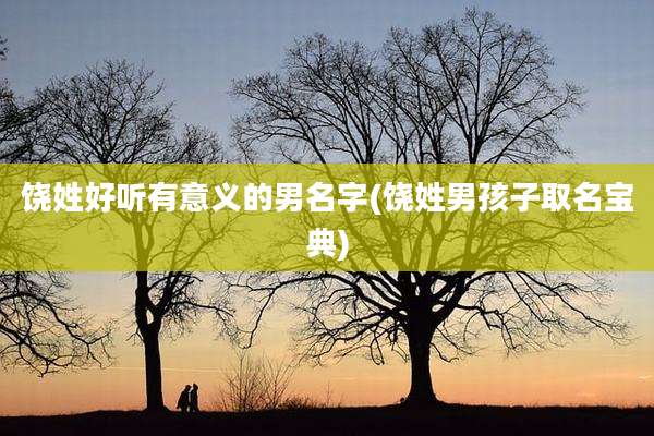饶姓好听有意义的男名字(饶姓男孩子取名宝典)