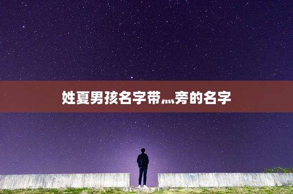 姓夏男孩名字带灬旁的名字