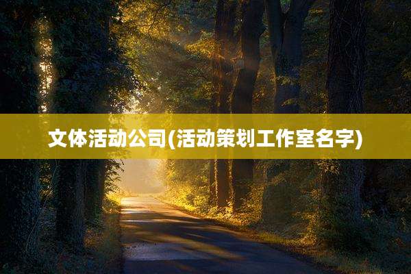 文体活动公司(活动策划工作室名字)