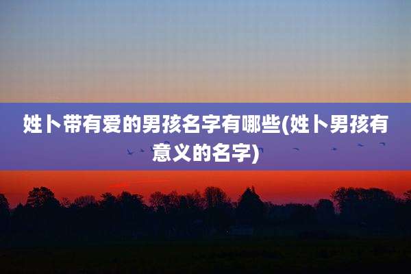姓卜带有爱的男孩名字有哪些(姓卜男孩有意义的名字)
