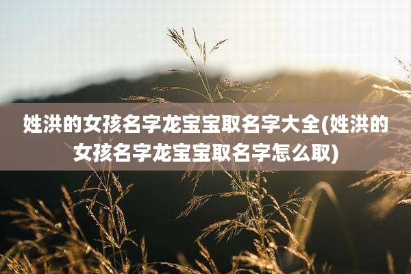 姓洪的女孩名字龙宝宝取名字大全(姓洪的女孩名字龙宝宝取名字怎么取)