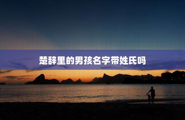 楚辞里的男孩名字带姓氏吗