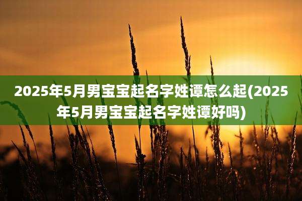 2025年5月男宝宝起名字姓谭怎么起(2025年5月男宝宝起名字姓谭好吗)
