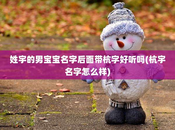 姓宇的男宝宝名字后面带杭字好听吗(杭宇名字怎么样)