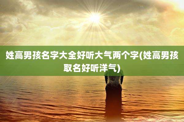 姓高男孩名字大全好听大气两个字(姓高男孩取名好听洋气)