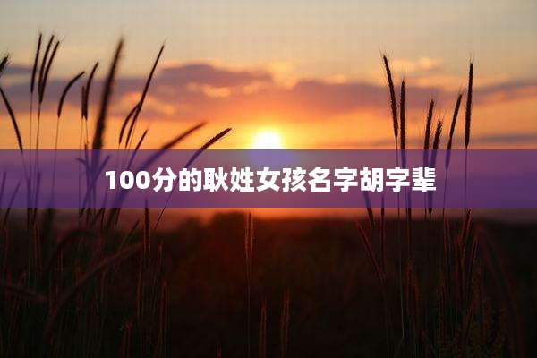100分的耿姓女孩名字胡字辈