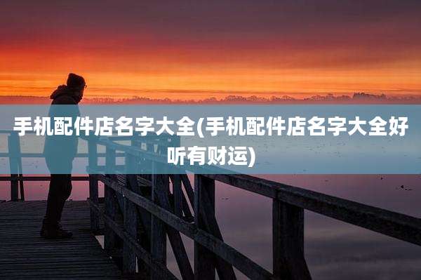 手机配件店名字大全(手机配件店名字大全好听有财运)