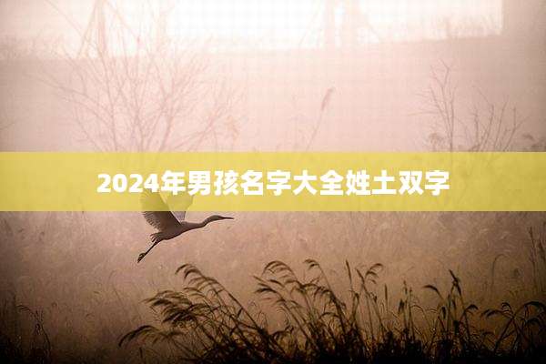 2024年男孩名字大全姓土双字